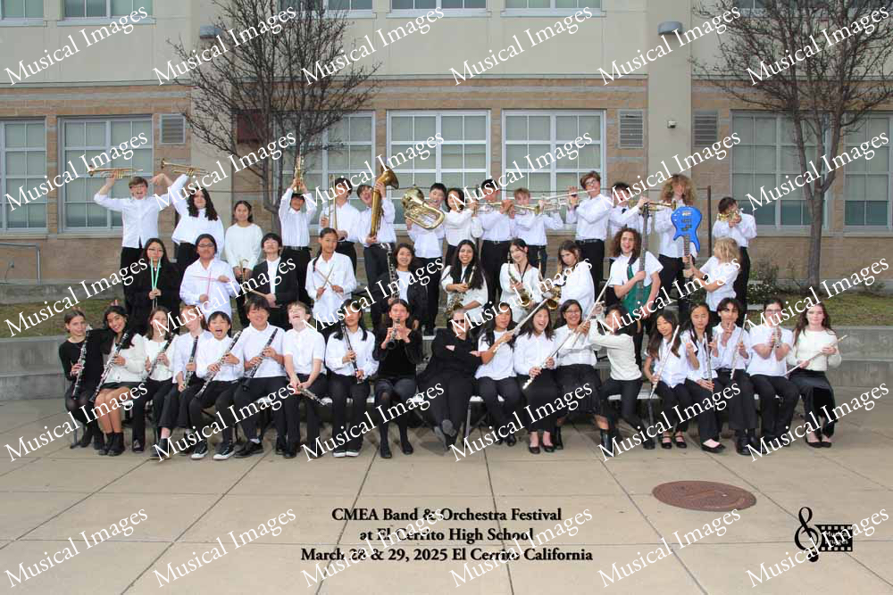 Musical Images